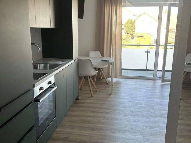 Wohnung zur Miete 610 € 1 Zimmer 28 m² 1. Geschoss frei ab 01.03.2026 Gaisbach Künzelsau 74653