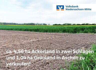 Land-/Forstwirtschaft zum Kauf 56.079 m² Grundstück Diepholz Diepholz / Aschen 49356