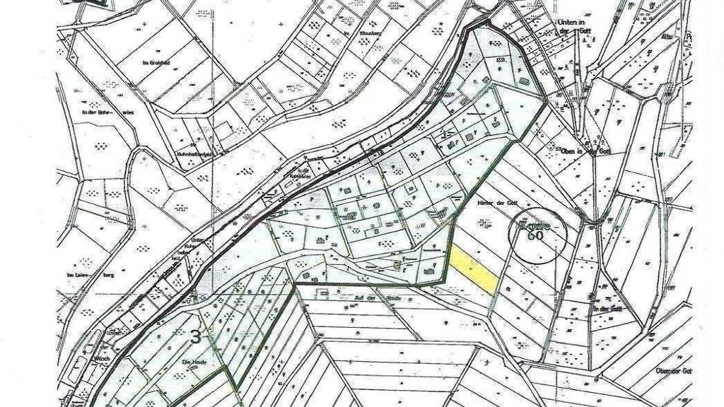 Grundstück zum Kauf 49.000 € 2.490 m² Grundstück Hinter der Gott Herl 54317