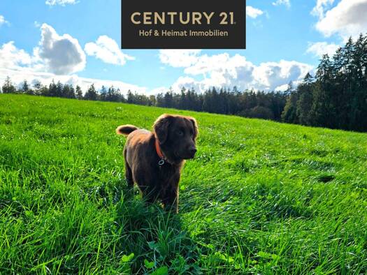 Einfamilienhaus zum Kauf 679.000 € 9 Zimmer 385 m² 1.961 m² Grundstück frei ab sofort Grub Arnstorf 94424