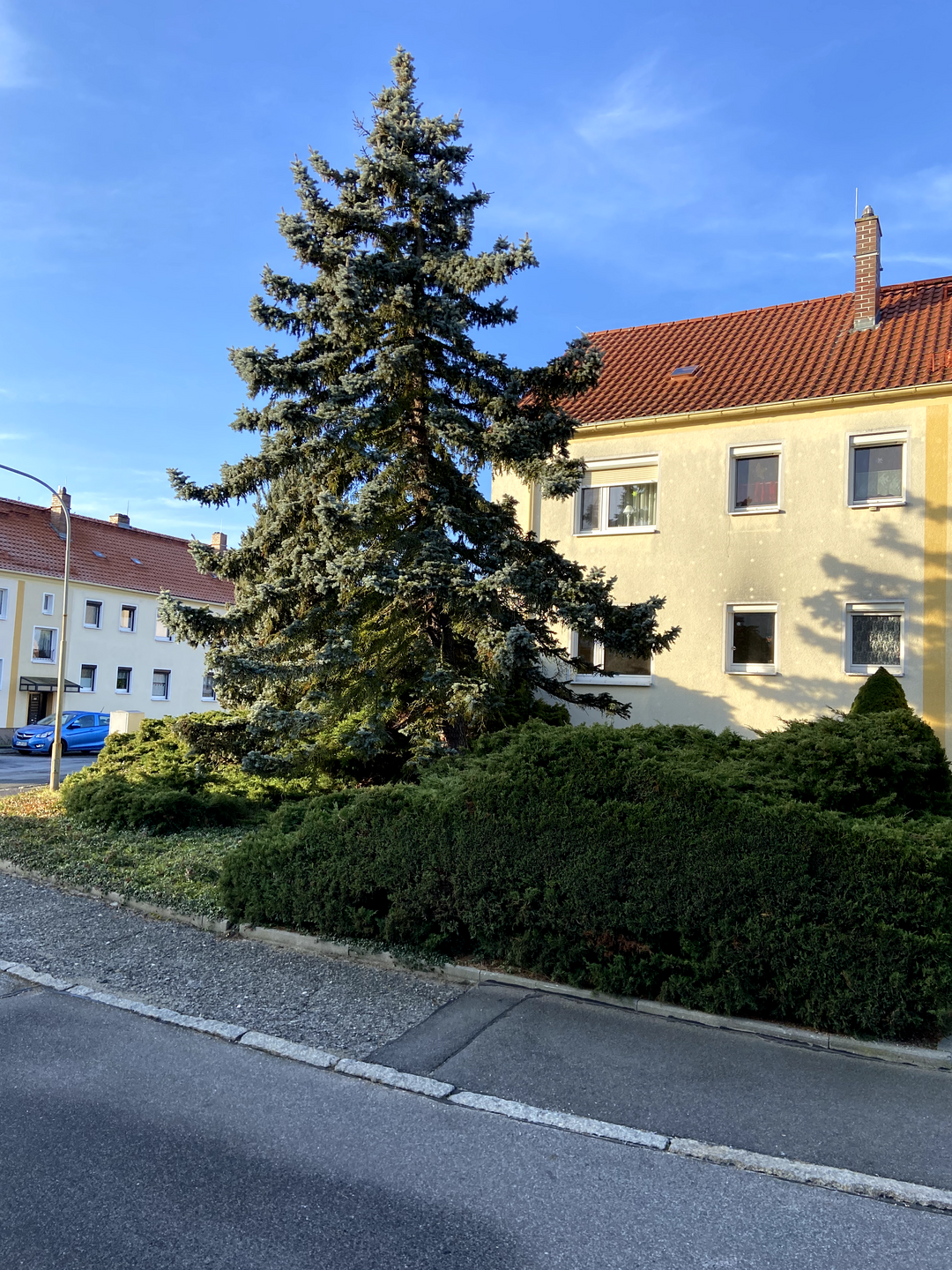 Immobilie in Niesky - Mieten ist teurer! - Bild 0