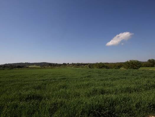 Haus zum Kauf 250.000 € 3 Zimmer 29.468 m² Grundstück Porreres