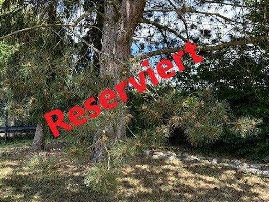 Grundstück zum Kauf 569.000 € 800 m² Grundstück Altenberg Oberasbach 90522