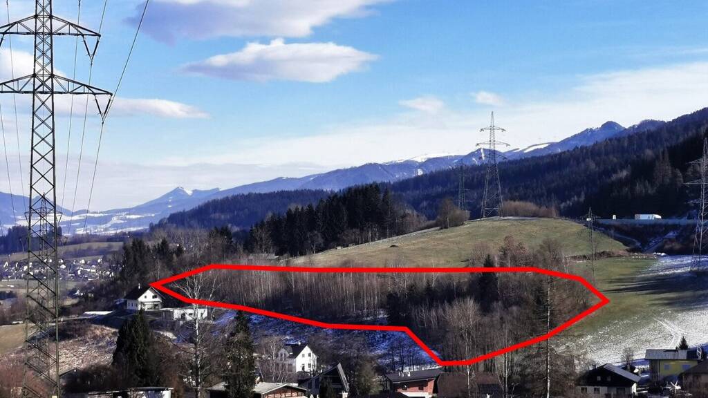 Land-/Forstwirtschaft zum Kauf 115.800 € 5.515 m² Grundstück Sankt Barbara im Mürztal 8661