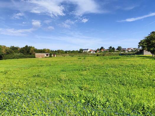 Grundstück zum Kauf 310.000 € 556 m² Grundstück Weisenheim am Sand 67256