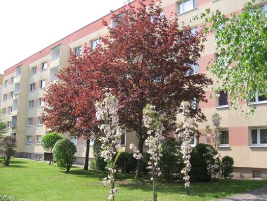 Wohnung zur Miete 215 € 2 Zimmer 46,5 m² 1. Geschoss frei ab sofort Schulstraße 12 Borna Borna 04552