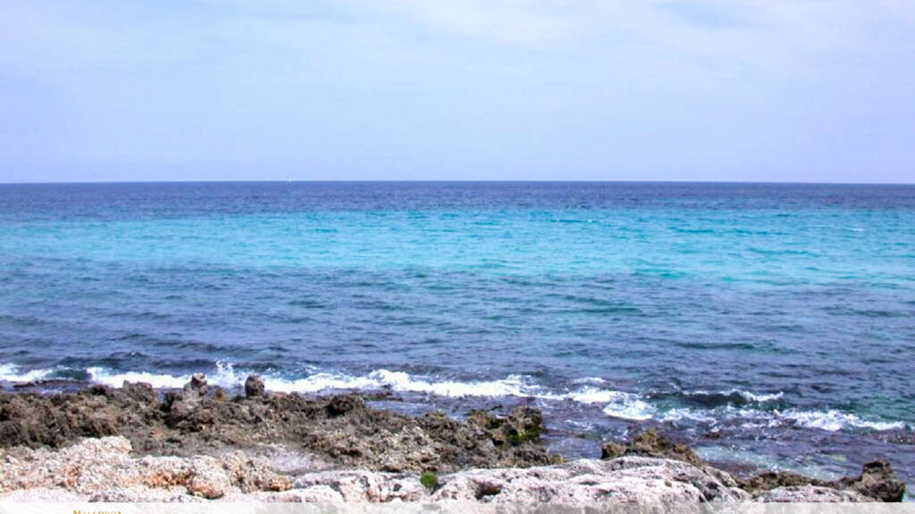 Laden zum Kauf 550.000 € 4 Zimmer 821 m² Verkaufsfläche Son Servera 07550