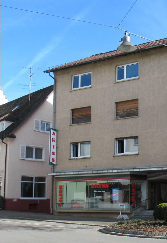 Mehrfamilienhaus zum Kauf 475.000 € 10 Zimmer 248 m²<br/>Wohnfläche 495 m²<br/>Grundstück Donaueschingen Donaueschingen 78166