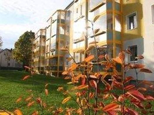 Wohnung zur Miete 390 € 3 Zimmer 60 m² EG frei ab sofort Kochstraße 54 Altendorf Chemnitz 09116