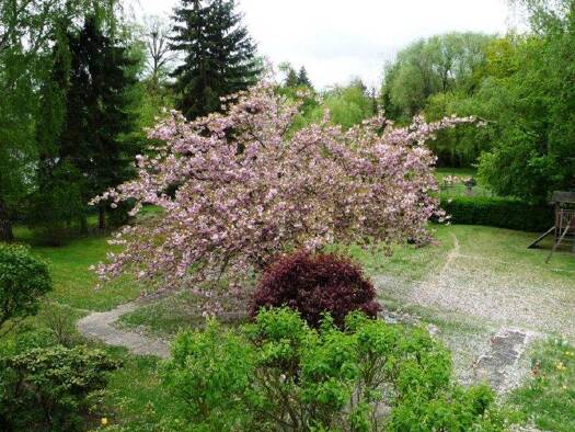 Wohnung zum Kauf 379.000 € 2 Zimmer 76,7 m² EG Wunsiedeler Weg 36 Lankwitz Berlin 12247