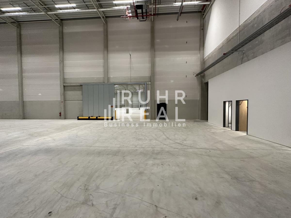 Halle/Industriefläche zur Miete 20.000 m²<br/>Lagerfläche ab 20.000 m²<br/>Teilbarkeit Sindorf Kerpen 50170