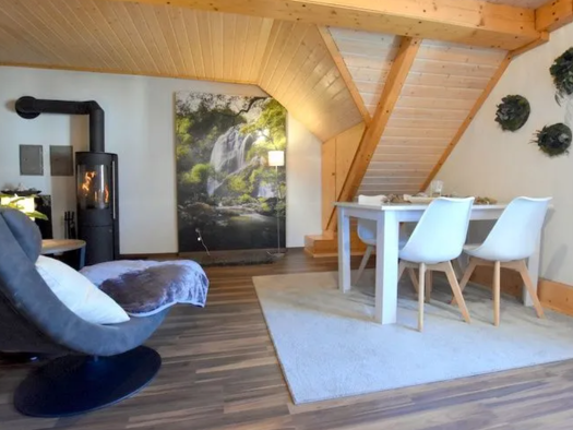 Penthouse zur Miete 700 € 2 Zimmer 40 m² Geschoss 2/3 frei ab sofort Obergermaringen Germaringen 87656