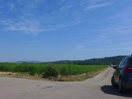 Grundstück zum Kauf provisionsfrei 10.012 m² Grundstück Schlatt Bad Krozingen, Stadtteil 79189