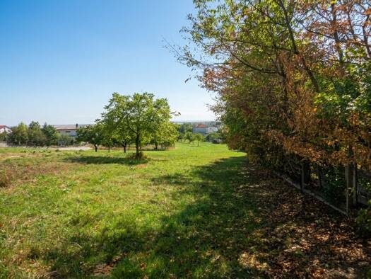 Grundstück zum Kauf 590.000 € 3.238 m² Grundstück Purbach am Neusiedler See 7083