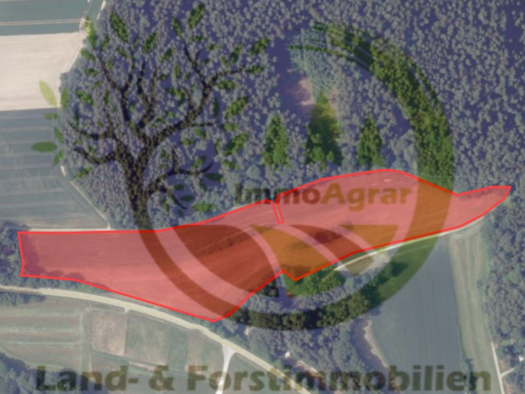 Grundstück zum Kauf 10,76 € 39.635 m² Grundstück Höfarten Schiltberg 86576