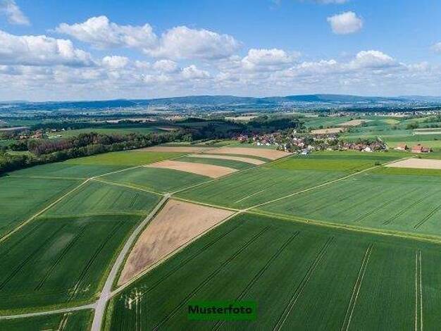 Land-/Forstwirtschaft zum Kauf 38.700 € 5.158 m² Grundstück Viernheim 68519