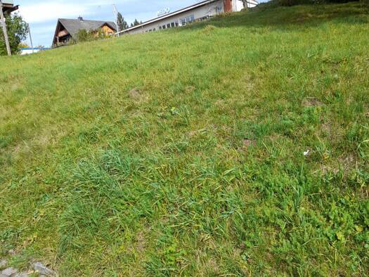 Grundstück zum Kauf 52.000 € 458 m² Grundstück Arnold-Böcklin-Str. Schönwald im Schwarzwald 78141