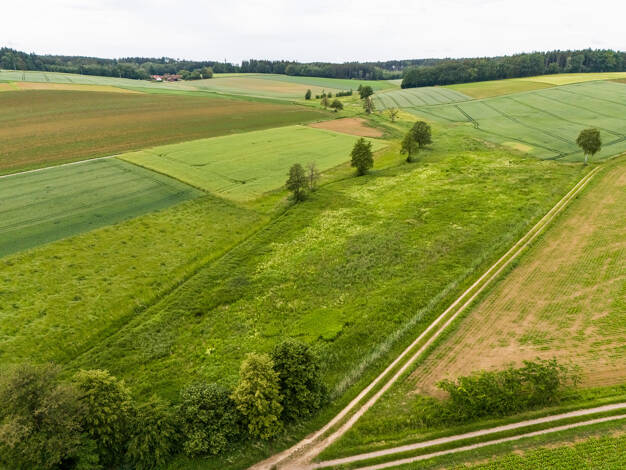 Land-/Forstwirtschaft zum Kauf 130.000 € 21.127 m² Grundstück Schierling Schierling 84069