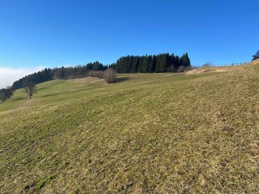 Landwirtschaftliche Fläche zum Kauf 67.000 € 16.330 m² Grundstück Seitenstetten Dorf 3353