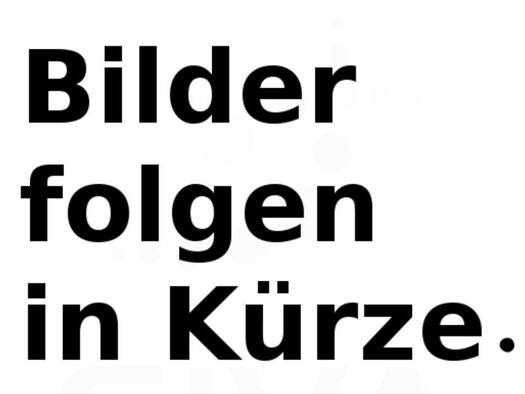 Wohnung zur Miete 760 € 3 Zimmer 90 m² Geschoss 2/3 frei ab 01.12.2026 Veitlahm Mainleus 95336