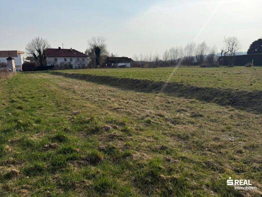 Grundstück zum Kauf 204.435 € 1.239 m² Grundstück Pupping 4070