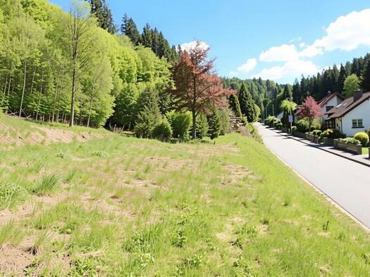 Grundstück zum Kauf 45.000 € 2.583 m² Grundstück Dürrenwaid Geroldsgrün 95179