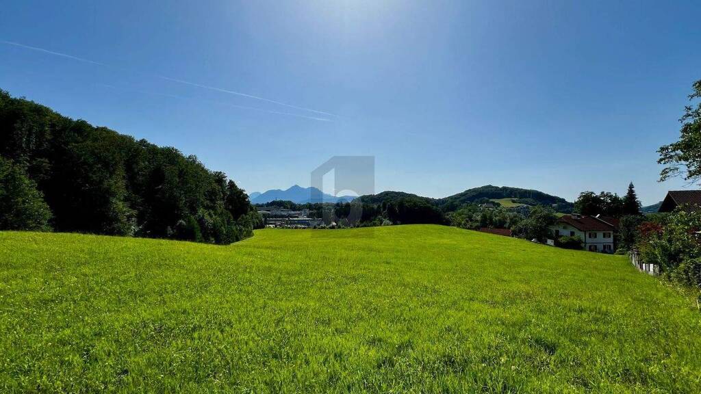 Land-/Forstwirtschaft zum Kauf 10.100 m² Grundstück Salzburg 5020