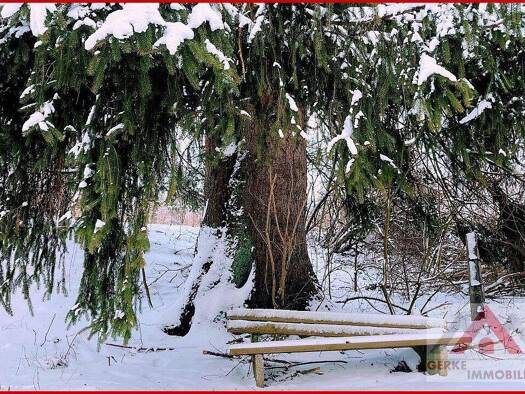Grundstück zum Kauf 75.000 € 1.100 m² Grundstück Medebach Medebach / Oberschledorn 59964