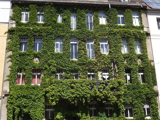 Wohnung zur Miete 590 € 3 Zimmer 68 m² Geschoss -3/5 frei ab sofort Innenstadt Halle (Saale) 06110