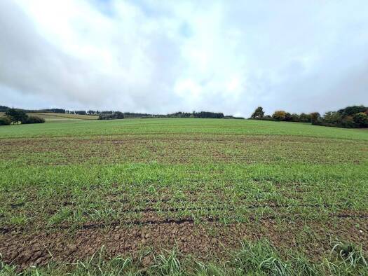 Land-/Forstwirtschaft zum Kauf 75.920 m² Oberahrain Essenbach 84051