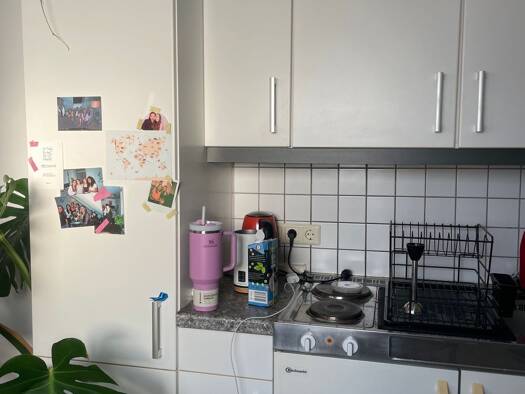 Wohnung zur Miete 700 € 1 Zimmer 50 m² Geschoss -4/4 frei ab 01.04.2026 Zentrum Bonn 53111