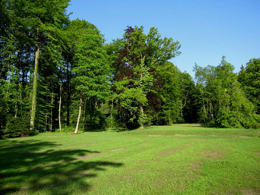 Landwirtschaftliche Fläche zum Kauf 3.550 m² Grundstück Perchting 82319