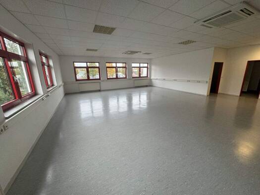 Bürofläche zur Miete provisionsfrei 2.000 € 7 Zimmer 250 m² Bürofläche teilbar ab 250 m² Goldscheuer Kehl 77694