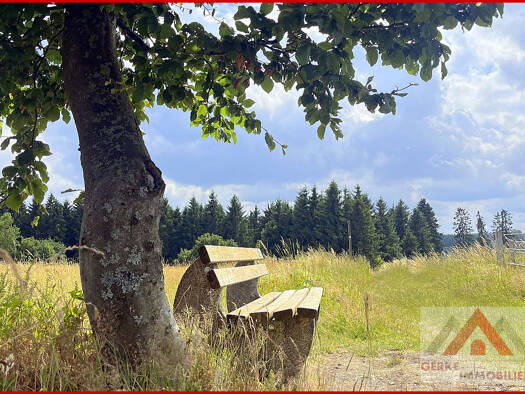 Grundstück zum Kauf 170.000 € 3.320,1 m² Grundstück Medebach Medebach / Oberschledorn 59964