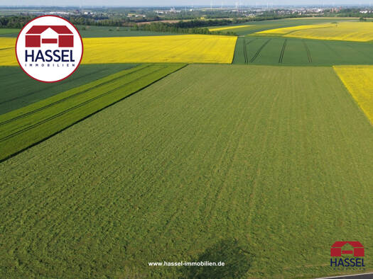 Land-/Forstwirtschaft zum Kauf provisionsfrei 161.600 € 16.171 m² Grundstück Zülpich Zülpich 53909