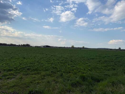 Grundstück zum Kauf 690.000 € 20.501 m² Grundstück Seibersdorf 2444