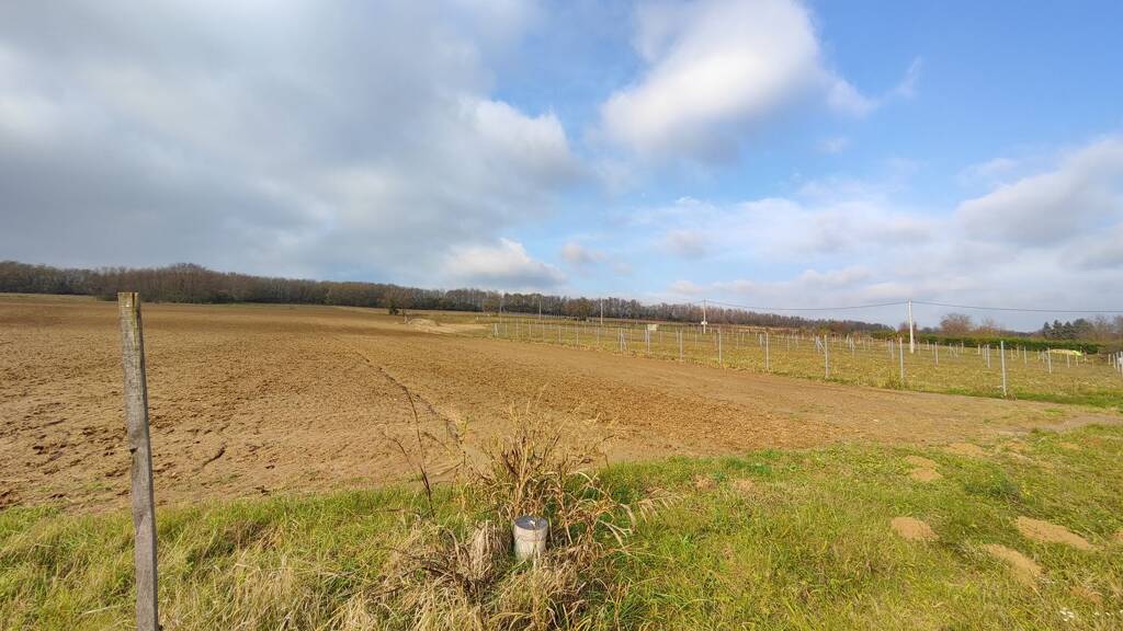 Grundstück zum Kauf provisionsfrei 34.900 € 2.200 m² Grundstück Alsópáhok