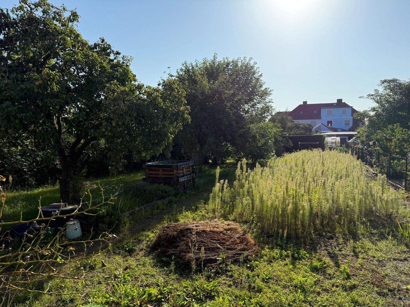 House in Hoyerswerda - Wojerecy, Landkreis Bautzen - Mehr