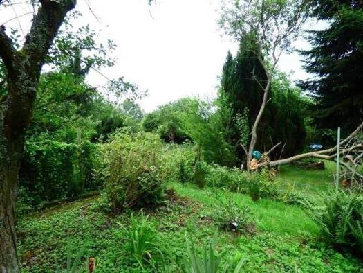 Grundstück zum Kauf 950.000 € 1.000 m² Grundstück Biebrich Wiesbaden 65189