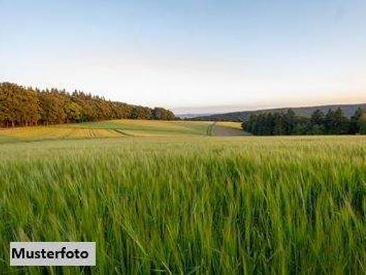 Land-/Forstwirtschaft zum Kauf 21.000 € 6.919 m² Grundstück Inzing 6401