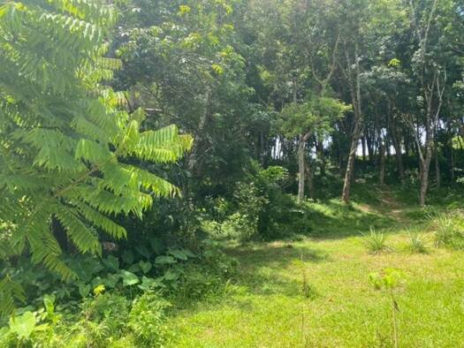 Grundstück zum Kauf 4.500.000 € 17.600 m² Grundstück Phuket 83110