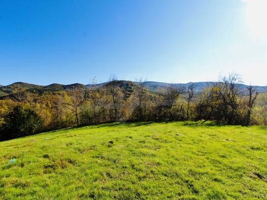 Land-/Forstwirtschaft zum Kauf 19.800 € Elena