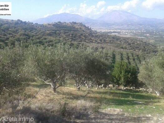 Land-/Forstwirtschaft zum Kauf 1.500.000 € 200.000 m² Grundstück Vori 702 00