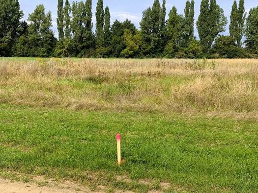 Grundstück zum Kauf provisionsfrei 99.000 € 3.300 m² Grundstück Möglenz Bad Liebenwerda 04931