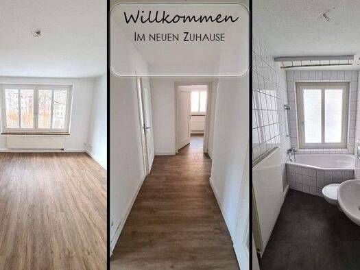 Terrassenwohnung zur Miete 340 € 3 Zimmer 56,4 m² EG frei ab sofort Cranachstraße 2 Lutherviertel Chemnitz 09126