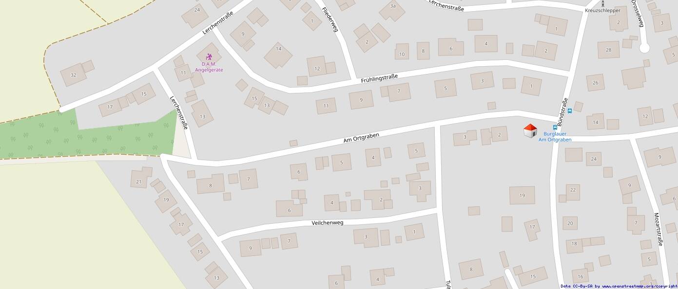 Immobilie in Burglauer - Tolles Wohn- und Geschäftshaus in Burglauer mit Reparaturbedarf - Bild 2