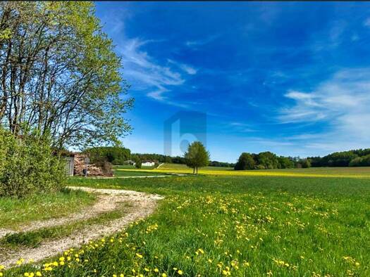 Grundstück zum Kauf 179.000 € 1.350 m² Grundstück Herrnried Parsberg 92331