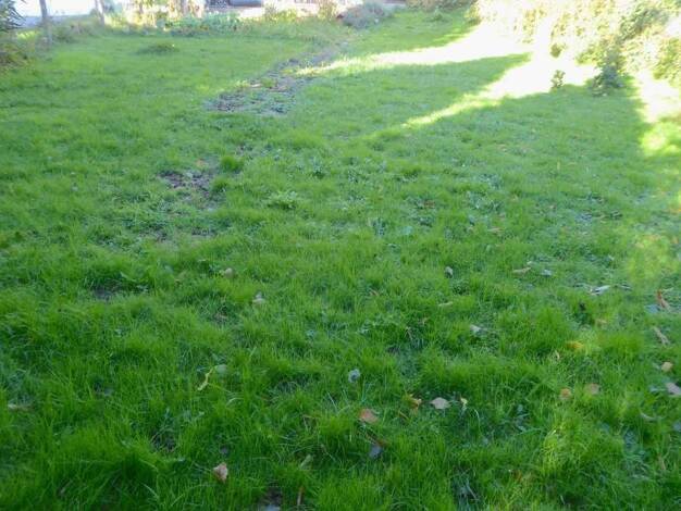 Grundstück zum Kauf 199.000 € 676 m² Grundstück Eschelbach Montabaur 56410