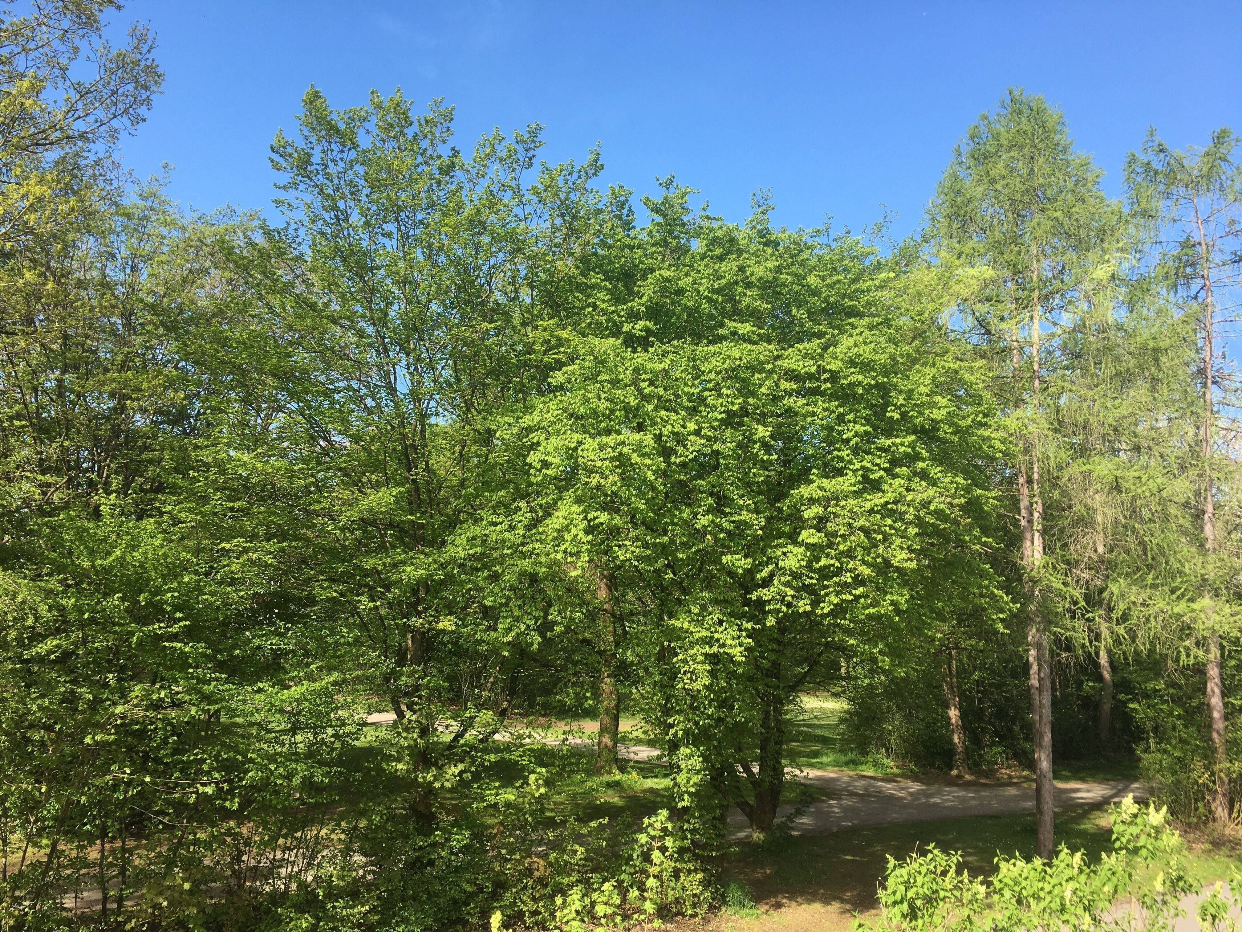 Property thumbnail 4