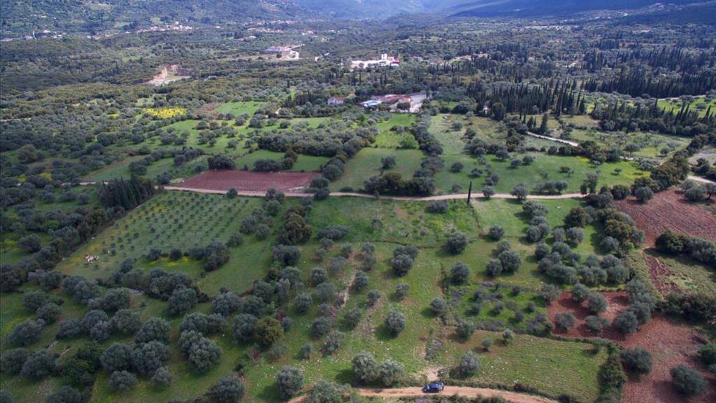 Land-/Forstwirtschaft zum Kauf 170.000 € 6.113 m² Grundstück Kefalonia